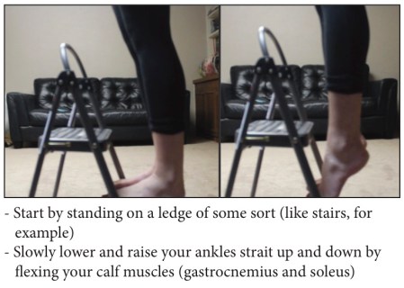 ankleraises.jpg